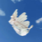 Get trendy with Rose Island’s Strange Flying Creature Bag - Handbag & Wallet Accessories available at Peiliee Shop. Grab yours for $55 today!