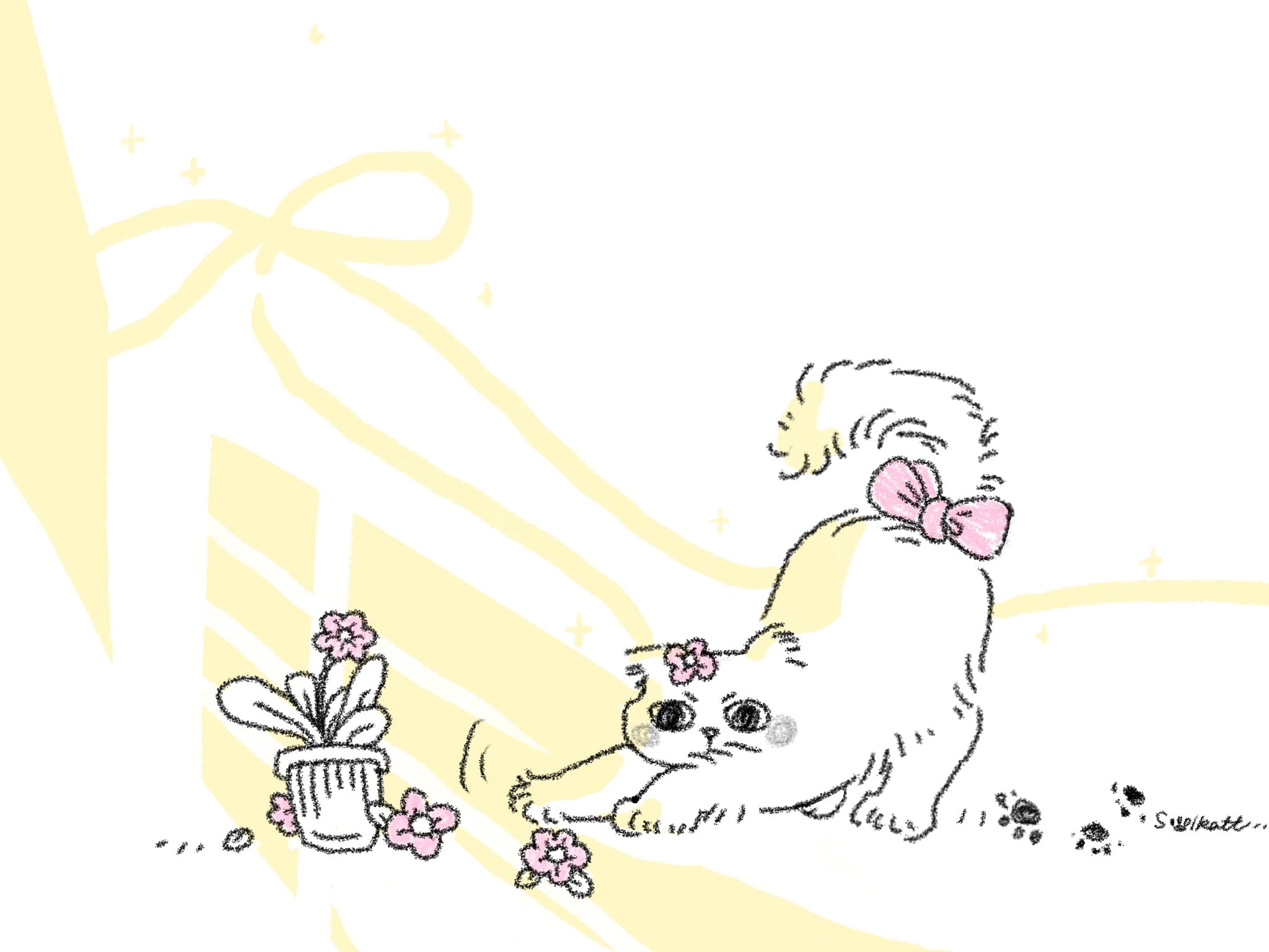 A kitty is born on snowy night in Sweden