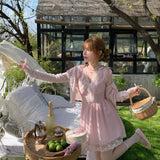 Coquette Dream In Rose Garden mini dress