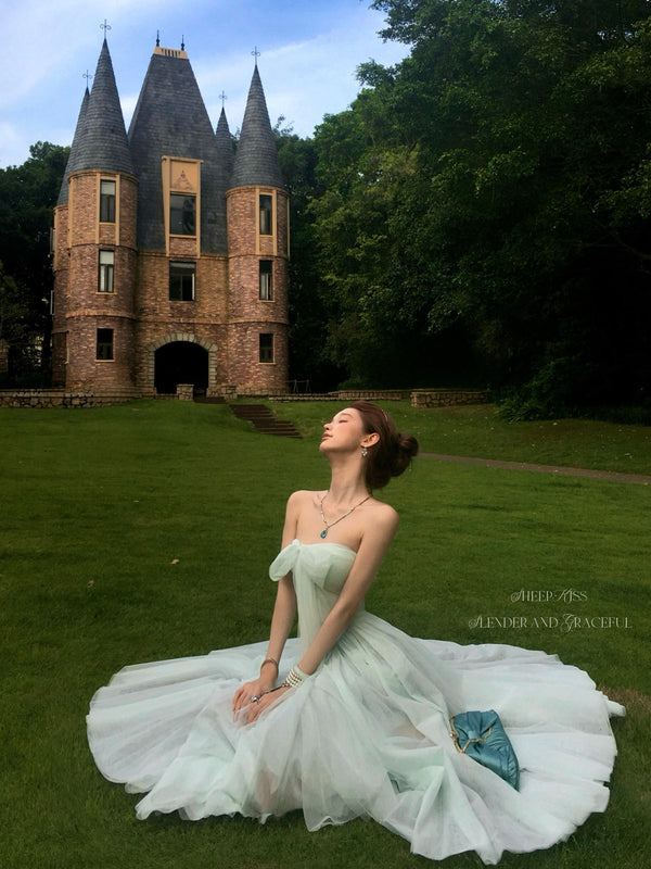 Sheepkiss Blue Reverie Sylph Ballet Top and Skirt Set
