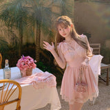 Coquette Dream In Rose Garden mini dress