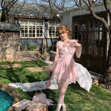 Coquette Dream In Rose Garden mini dress