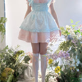 Silly Solkatt Alice’s Little Secret Blue Gingham Apron Set