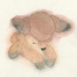 IMG_9548.JPG__PID:cedc18cc-1de8-480a-aeee-a2b0f84905ef