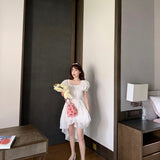 Get trendy with [Mid Season sale ] Hazy Moonlight Romantic Dress - Dress available at Peiliee Shop. Grab yours for $65 today!