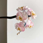 Get trendy with [Handmade] Japanese Silk Flower Hairpin -  available at Peiliee Shop. Grab yours for $138 today!